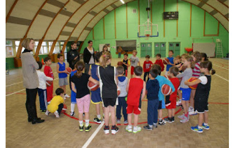 Basket Day
