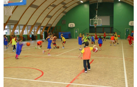 Mini basket